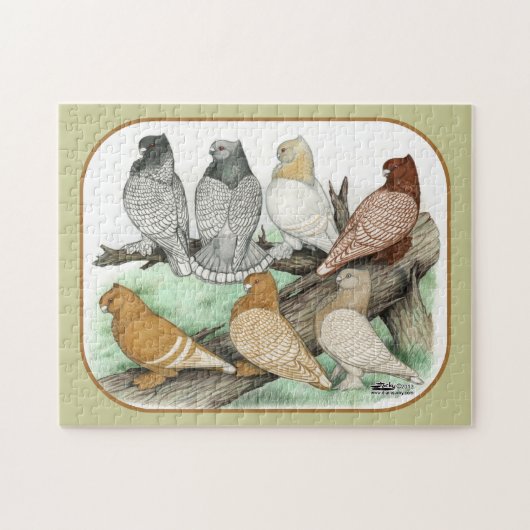 Klassieke Frill Pigeons Blondinettes Legpuzzel (Horizontaal)