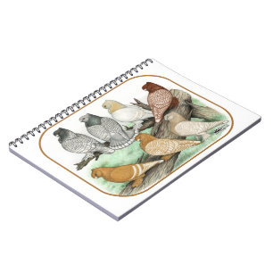 Klassieke Frill Pigeons Blondinettes Notitieboek