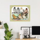 Klassieke Frill Pigeons Blondinettes Poster (Thuiskantoor)
