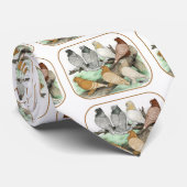 Klassieke Frill Pigeons Blondinettes Stropdas (Opgerold)