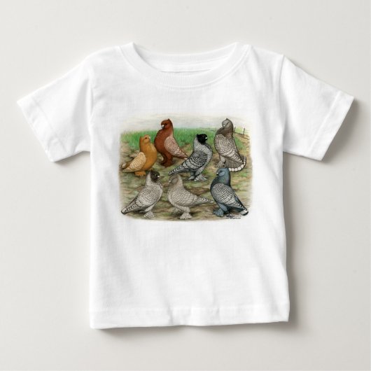 Klassieke Frill Pigeons Laced Blondinettes (Voorkant)