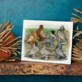 Klassieke Frill Pigeons Laced Blondinettes Fotoplaat (Zijkant)