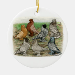 Klassieke Frill Pigeons Laced Blondinettes Keramisch Ornament