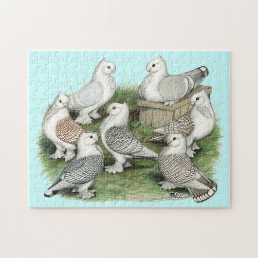 Klassieke Frill Pigeons Legpuzzel (Horizontaal)