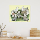 Klassieke Frill Pigeons Poster (Keuken)