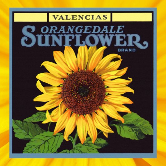 Klassieke Fruitkist Label Kunst Orangedale Sunflow Poster