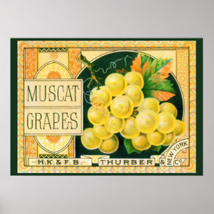 Klassieke Fruitkratlabel Kunst, Muskaatdruiven Poster