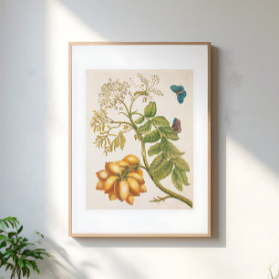 Klassieke Fruitplant Met Vlinders Kunst Poster