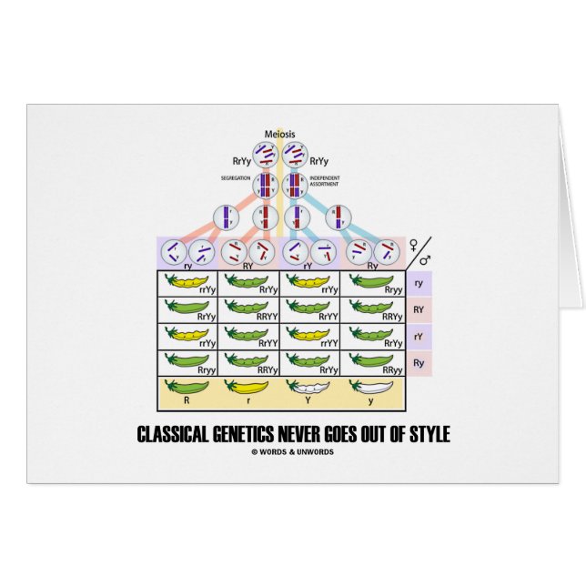 Klassieke genetica komen nooit uit stijl (Voorkant Horizontaal)