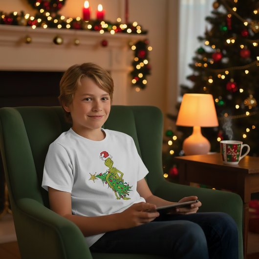 Klassieke Grinch | Stout Tri-Blend Shirt