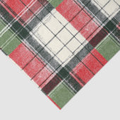 Klassieke groene en rode gerafelde plaid tissuepapier (Detail)