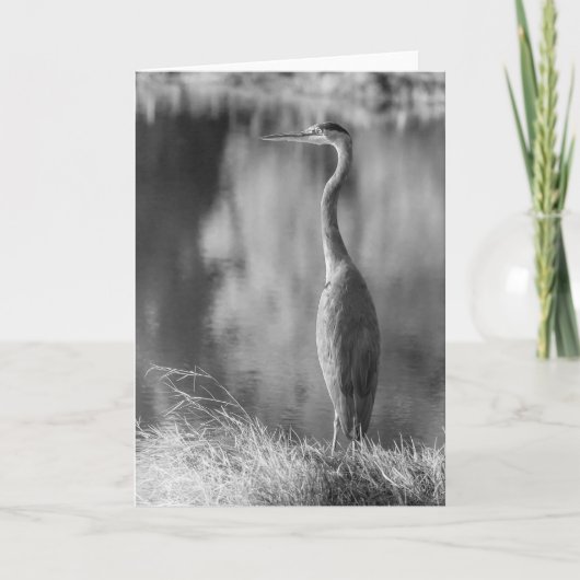 Klassieke Grote Blauwe Heron Zwart & Wit Fotografi Kaart (Voorkant)
