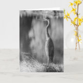 Klassieke Grote Blauwe Heron Zwart & Wit Fotografi Kaart (Gele Bloem)