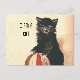 Klassieke HALLOWEEN Zwarte Kat Briefkaart