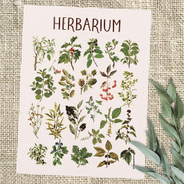 Klassieke Herbarium Groene Plant Chart Briefkaart