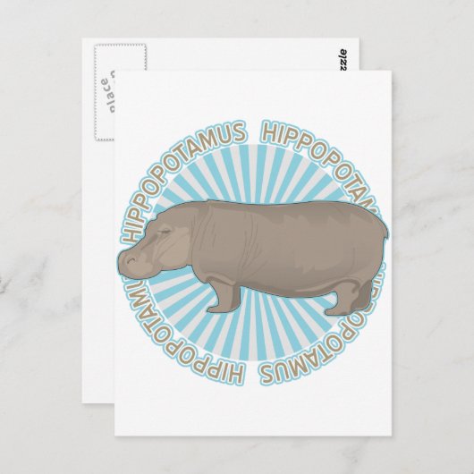 Klassieke Hippopotamus Briefkaart (Voorkant / Achterkant)
