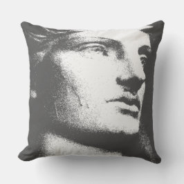 Klassieke houtskool kussen