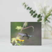 Klassieke Hummingbird Briefkaart (Staand voorkant)
