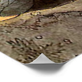 Klassieke John Bauer Prinses kust Beer op Neus Poster (Hoek)