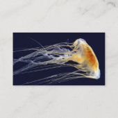 Klassieke kaart - Drijvende kant Visitekaartje (Achterkant)