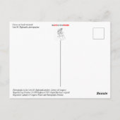 Klassieke kar Hood Ornament Briefkaart (Achterkant)