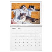 Klassieke Kat 2018-agenda Kalender (Jan 2027)