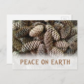 Klassieke Kerstdennenappel Vrede Op Aarde Feestdagenkaart (Voorkant / Achterkant)