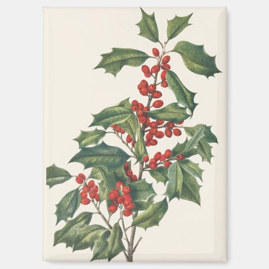 Klassieke Kerstmis Hulst met Rode Bessen Kunst Magneet (Voorkant)
