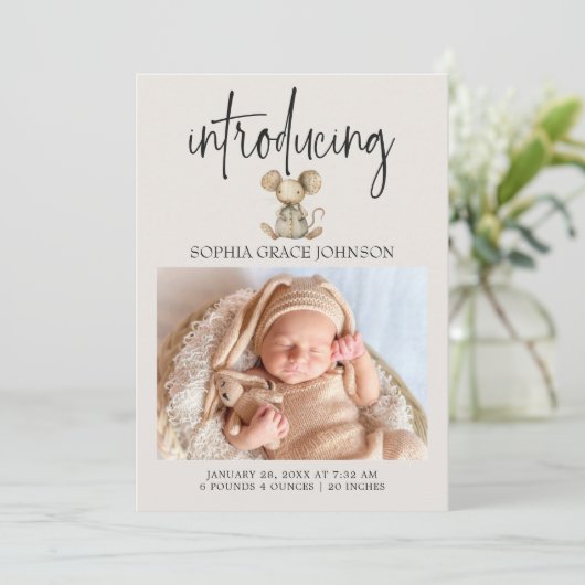 Klassieke Knuffel Dieren Baby Aankondiging (Staand voorkant)