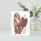 Klassieke koolvis met verse vis briefkaart (Staand voorkant)