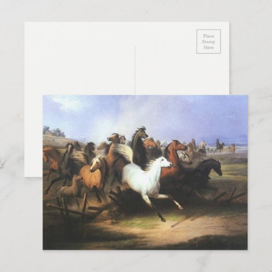 Klassieke kunsten die paarden runnen briefkaart (Voorkant / Achterkant)