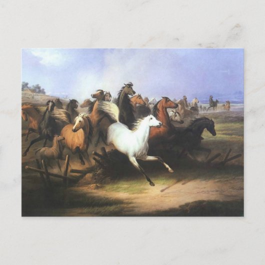 Klassieke kunsten die paarden runnen briefkaart (Voorkant)