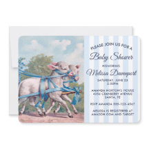 Klassieke Lammetjes in Blauwe Lintjes Baby Shower