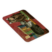 Klassieke literaire katten Poe, Dickens, Stoker, M Magneet (Rechterzijde)
