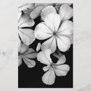 Klassieke monochrome Plumbago-kunst Briefpapier