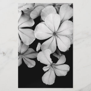 Klassieke Monochrome Plumbago Kunst Briefpapier