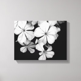 Klassieke monochrome Plumbago-kunst Canvas Afdruk