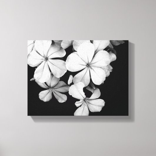 Klassieke monochrome Plumbago-kunst Canvas Afdruk (Voorkant)