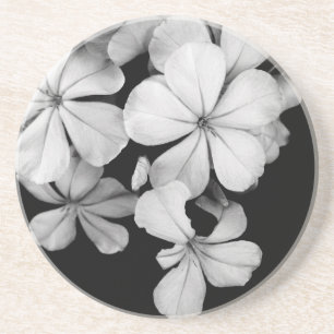 Klassieke monochrome Plumbago-kunst Zandsteen Onderzetter