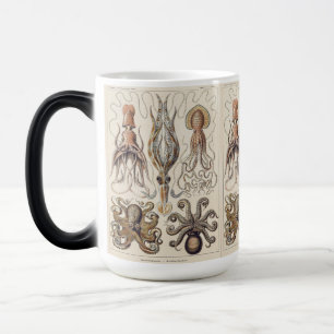 Klassieke Octopus Pijlinktvis Kunst van Ernst Haec Magische Mok