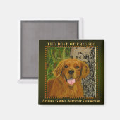 Klassieke Olive Golden Retriever Magnet (Voorkant / Achterkant)