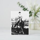 Klassieke paarden 14 briefkaart (Staand voorkant)