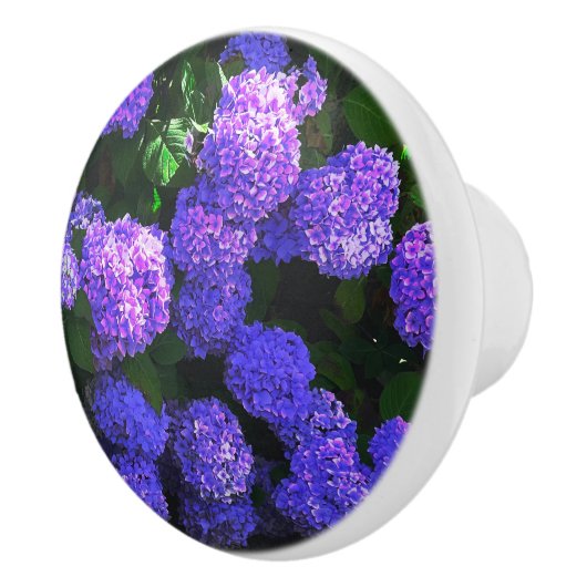 Klassieke Paarse Realistische Hydrangea Keramische Knop (Rechts)