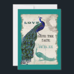 Klassieke Pauw 5 - Save the Date<br><div class="desc">Er zit een vleugje gril en plezier in dit ontwerp met twee vintage pauwen, één in felle kleuren kobalt, pauw en aqua blauw met paars en groen, de andere is een pen- en inkttekening in pauwblauw. U heeft de keuze uit achtergrondkleuren, hier getoond in pauwblauw of donker tealblauw. Tijdens de...</div>
