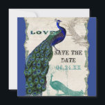 Klassieke Pauw 5 - Save the Date<br><div class="desc">Er zit een vleugje gril en pret in dit ontwerp met twee vintage pauwen, één in felle kleuren kobalt, pauw en aqua blauw met paars en groen, de andere is een pen- en inkttekening in pauwblauw. U heeft de keuze uit achtergrondkleuren, hier getoond in pauwblauw of donker turkooisblauw. Tijdens de...</div>