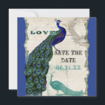 Klassieke Pauw 5 - Save the Date<br><div class="desc">Er zit een vleugje gril en pret in dit ontwerp met twee vintage pauwen, één in felle kleuren kobalt, pauw en aqua blauw met paars en groen, de andere is een pen- en inkttekening in pauwblauw. U heeft de keuze uit achtergrondkleuren, hier getoond in pauwblauw of donker turkooisblauw. Tijdens de...</div>