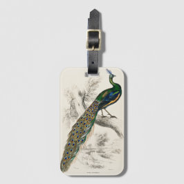 Klassieke Pauw Natuurhistorische Print Bagagelabel
