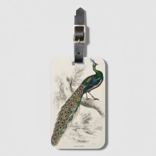 Klassieke Pauw Natuurhistorische Print Bagagelabel