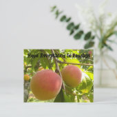 Klassieke peach op Tree Funny Text Briefkaart (Staand voorkant)