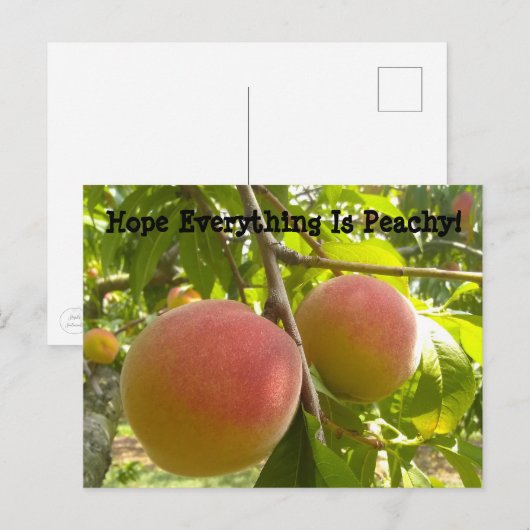 Klassieke peach op Tree Funny Text Briefkaart (Voorkant / Achterkant)